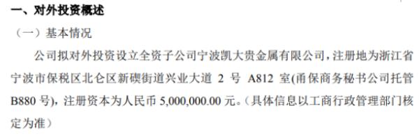 凯大催化对外投资设立全资子公司 注册资本为500万元