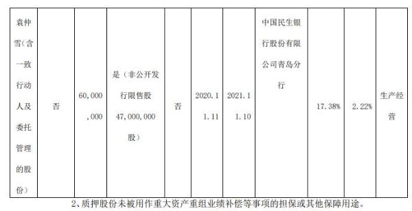 赛轮轮胎股东质押6000万股 用于生产经营