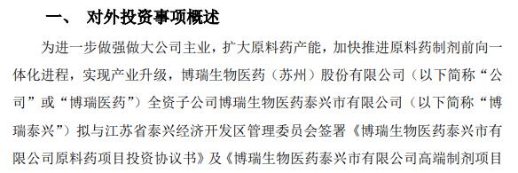 博瑞医药全资子公司拟签订项目投资协议 两个项目总投资金额约13亿元