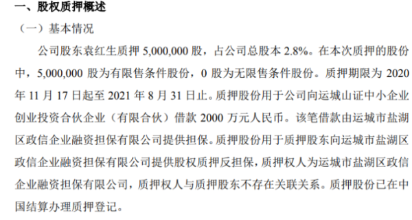 寰烁股份股东袁红生质押500万股 用于借款