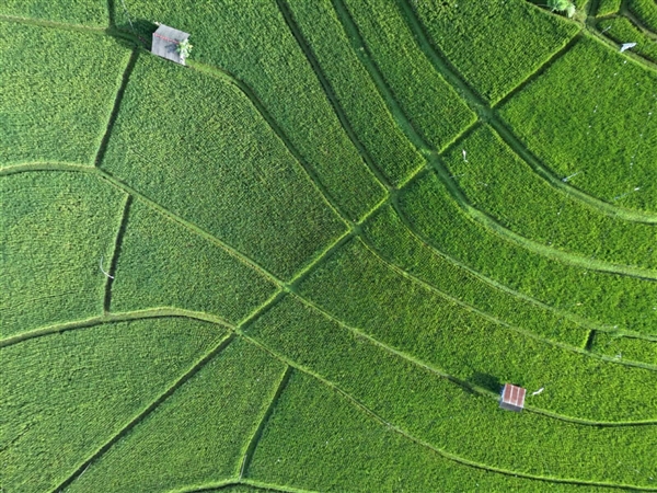 4999元！大疆正式发布御Mavic&nbsp;Air随行无人机：轻盈一握