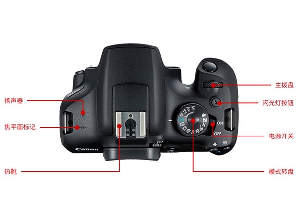 佳能发布入门单反EOS ：AI辅助自动对焦