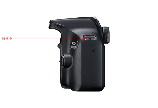 佳能发布入门单反EOS ：AI辅助自动对焦