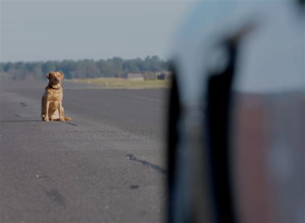 用Mate 10 Pro操控保时捷！华为仅花5周就征服了无人驾驶