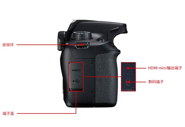 佳能发布入门单反EOS ：AI辅助自动对焦