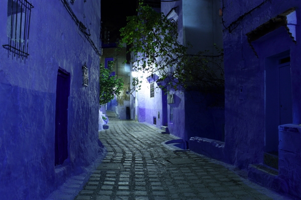 佳能发布入门单反EOS ：AI辅助自动对焦