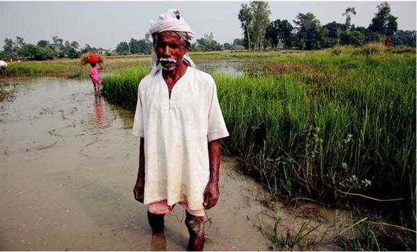 比尔·盖茨发年度公开信 回答了10个被经常问到的难题