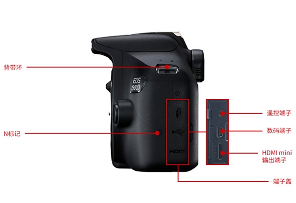 佳能发布入门单反EOS ：AI辅助自动对焦