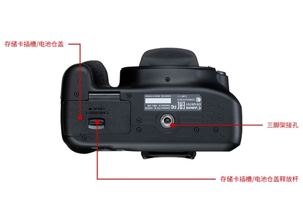 佳能发布入门单反EOS ：AI辅助自动对焦