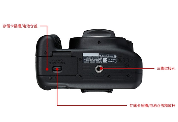 佳能发布入门单反EOS ：AI辅助自动对焦