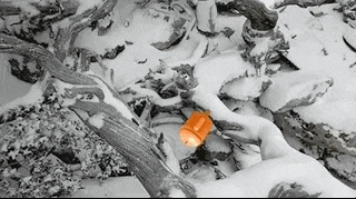 Google发布增强现实开发包ARCore 1.0：小米/华为首发