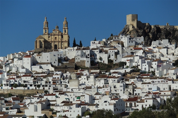 佳能发布入门单反EOS ：AI辅助自动对焦