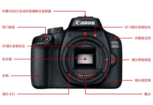 佳能发布入门单反EOS ：AI辅助自动对焦