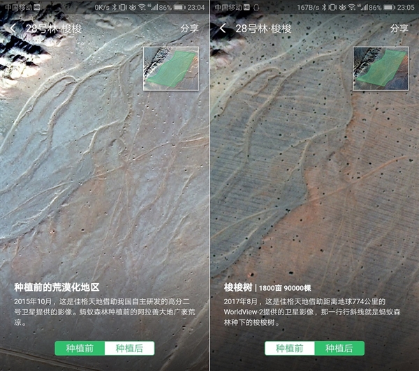 蚂蚁森林：未来5年投入5亿元 植树5亿棵