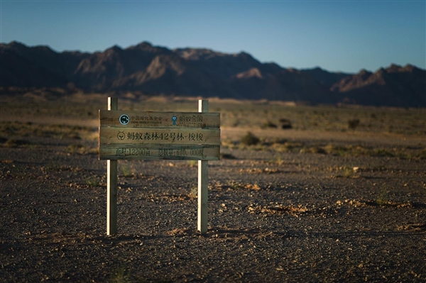 蚂蚁森林：未来5年投入5亿元 植树5亿棵