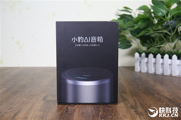 小豹AI音箱开箱图赏：499元/金属格栅质感十足