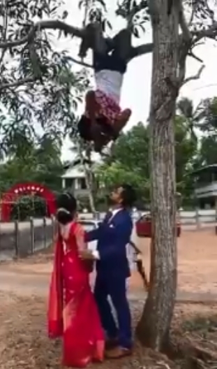 印度摄影师为找最佳角度爬树倒挂拍婚礼照 画面看醉