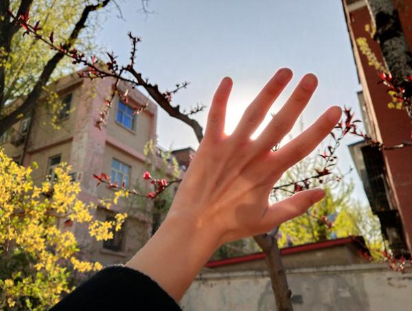 vivo X21上手评测：惊艳的不止是屏幕指纹解锁