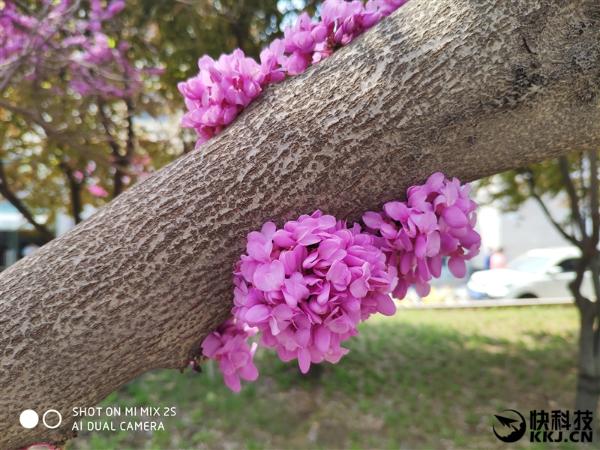 无刘海真全面屏！小米MIX 2S评测：拍照最好的小米手机