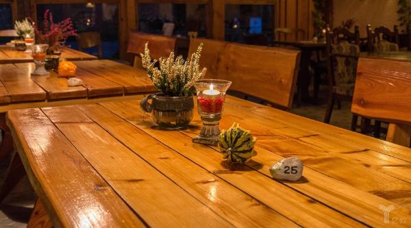 王坚：2050是年青人的热带雨林，万物皆可生长