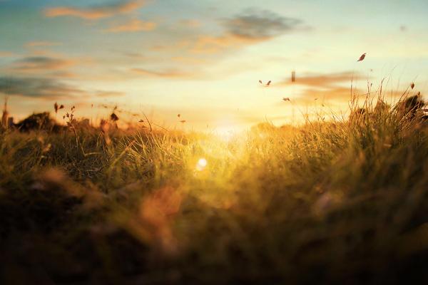 王坚：2050是年青人的热带雨林，万物皆可生长