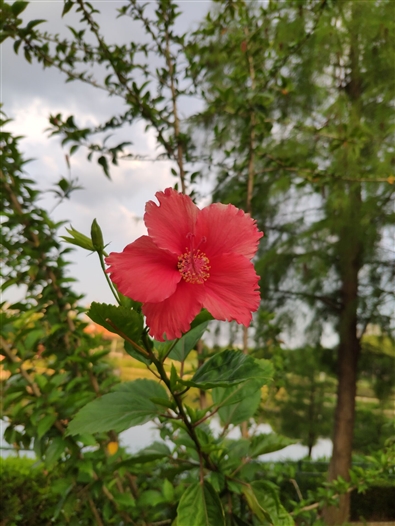 2018最强安卓旗舰!小米8首发评测:红外人脸识别+双频GPS定位