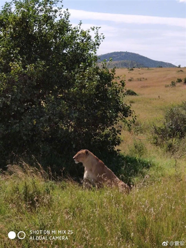 雷军晒小米MIX 2S肯尼亚草原样张：猎豹捕食斑马震撼