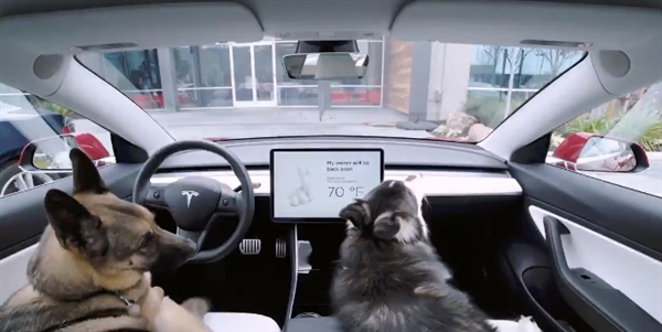 特斯拉推出“狗狗模式”：提醒路人狗狗在车内十分安全