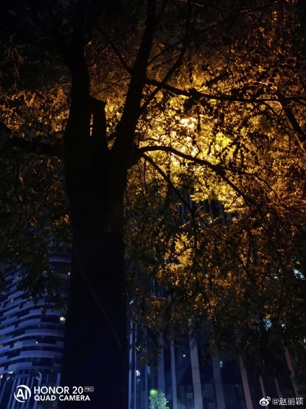 赵丽颖复工 荣耀20冰岛幻境派对首秀：自拍惊艳了