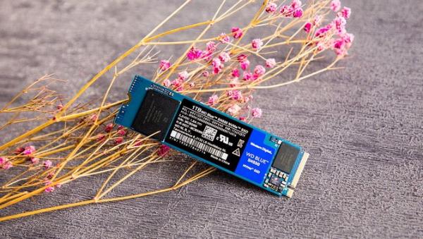 性能全面升级 西部数据全新WD Blue SN550评测报告