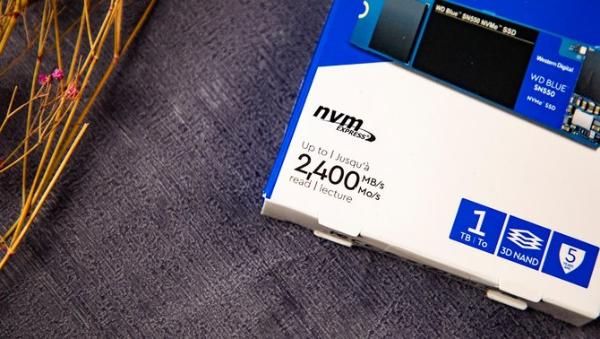 性能全面升级 西部数据全新WD Blue SN550评测报告