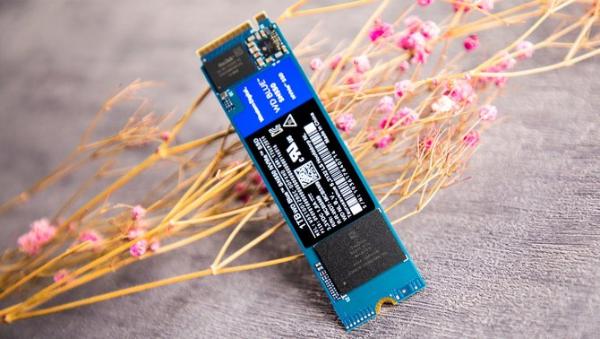 性能全面升级 西部数据全新WD Blue SN550评测报告