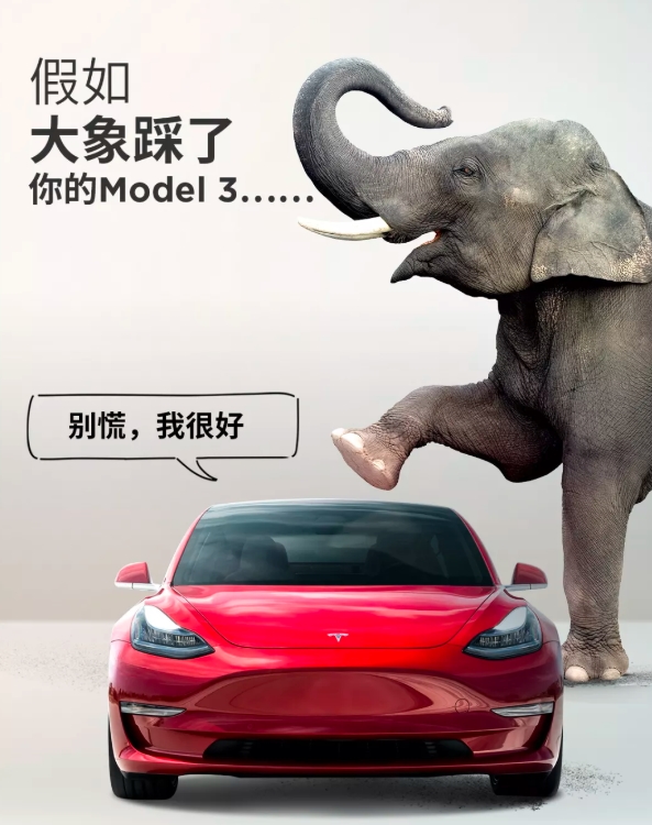 Model 3玻璃车顶如何做到抵御两只非洲象重量？特斯拉揭秘