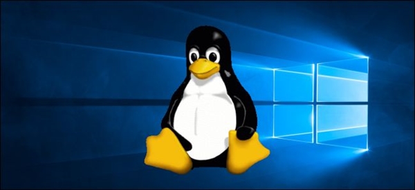 Win10第二代Linux子系统WSL2将随v2004正式版上线
