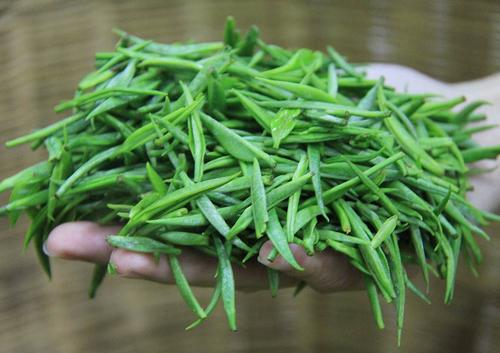 有机茶生产技术操作规程
