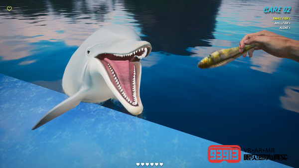 为海豚刷牙：VR模拟游戏《海豚训练师VR》将于明年第二季度发布