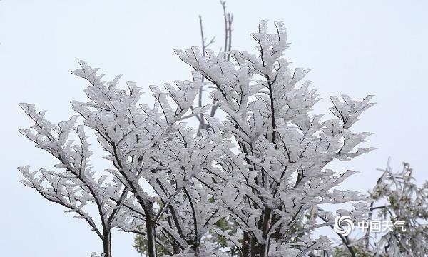 四川广安华蓥山银装素裹“醉”游人