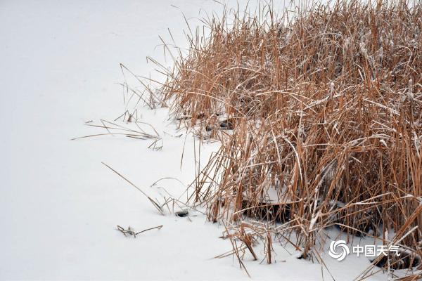 甘肃广河白雪如絮覆万物 天地静谧