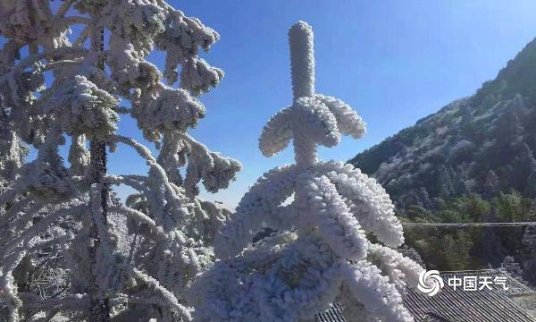 福建建宁金铙山现雾凇美景