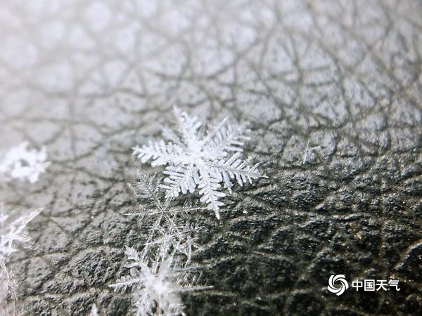 微距看北京雪花 晶莹剔透如艺术品