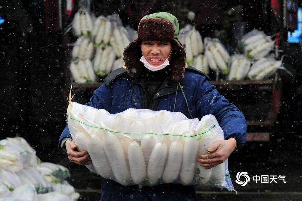 浙江金华漫天飞雪 农产品市场一派繁忙保供应