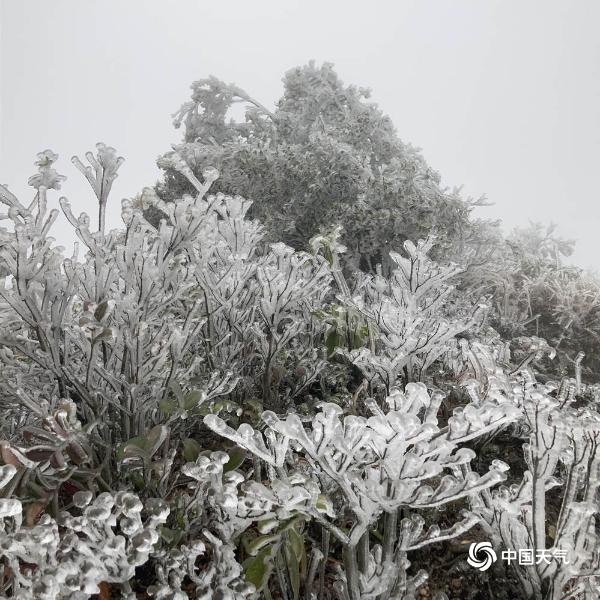 银装素裹！冷空气影响广东 粤北多地现雾凇冰挂等景观
