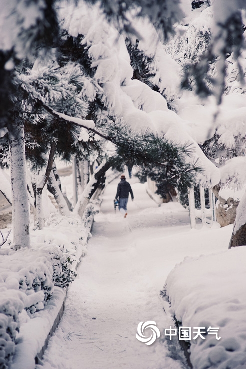 暴雪侵袭！山东烟台雪后景象犹如“冰河世纪”