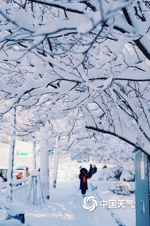 暴雪侵袭！山东烟台雪后景象犹如“冰河世纪”