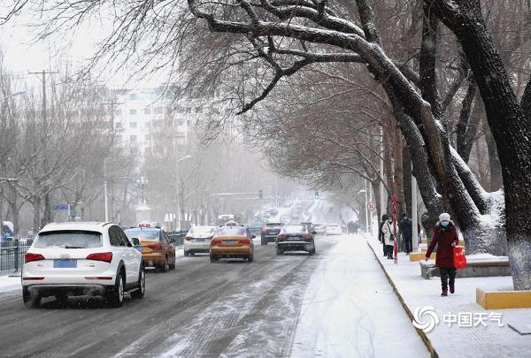 大寒遇腊八 哈尔滨雪花纷纷扬扬兆丰年