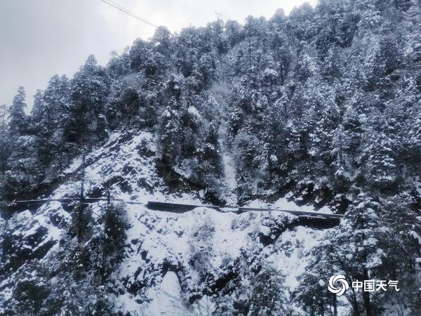 白雪点缀云南高黎贡山 如梦似幻