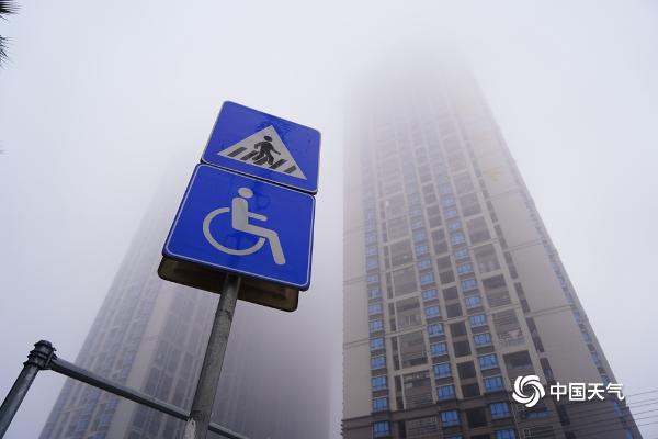 大雾“锁城” 广西钦州最小能见度不足50米