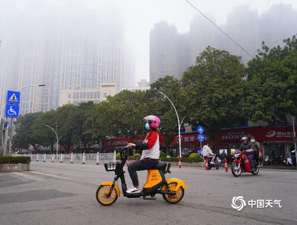大雾“锁城” 广西钦州最小能见度不足50米