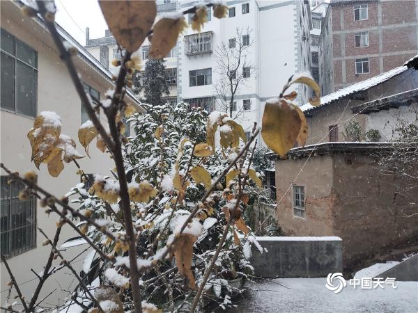 银装素裹 云南大关出现低温雨雪天气