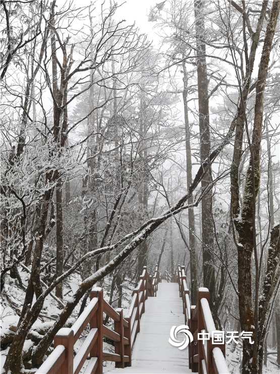 云南丽江玉龙雪山迎来降雪 变身洁白世界